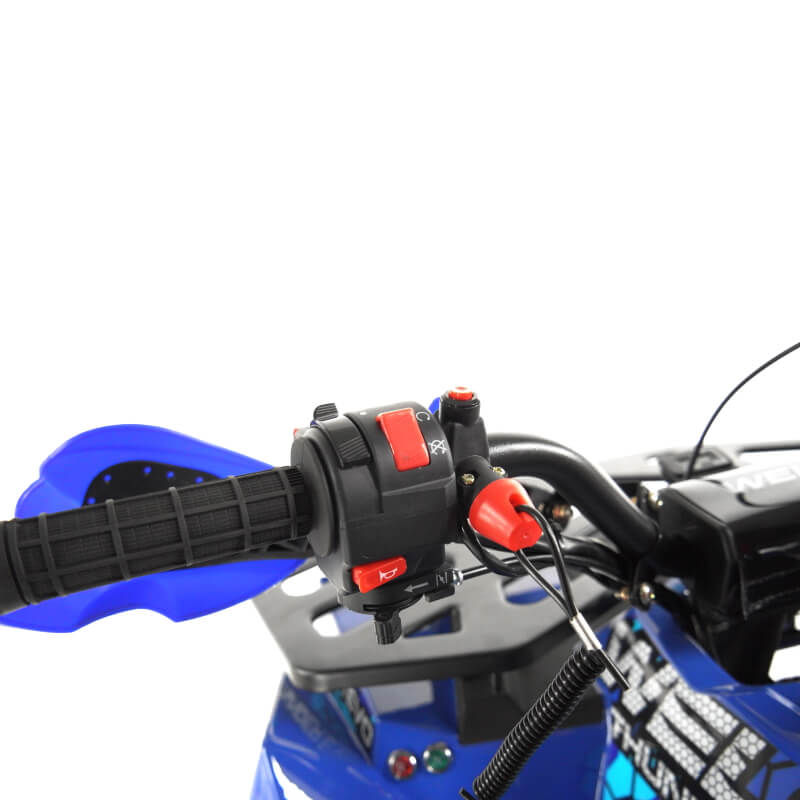 Квадроцикл Wels EVO 125, синий