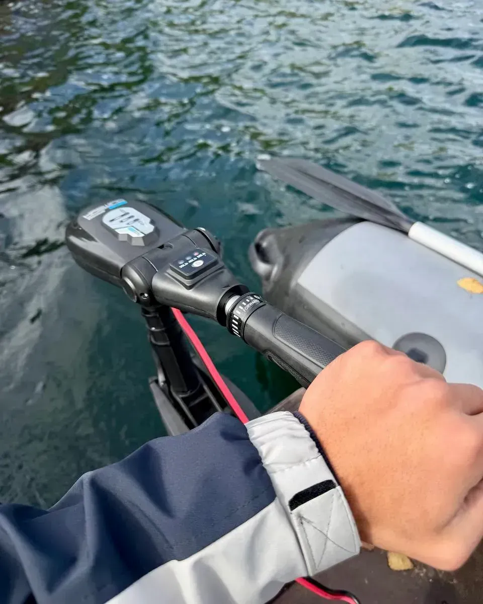 Лодочный электромотор Haswing Protruar Genius 55 lbs (бесщеточный)