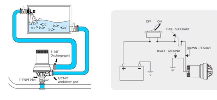 Помпа аэратор SeaFlo 12 В, 1600 GPH (6057 л/час), SFBP1-G1600-01A