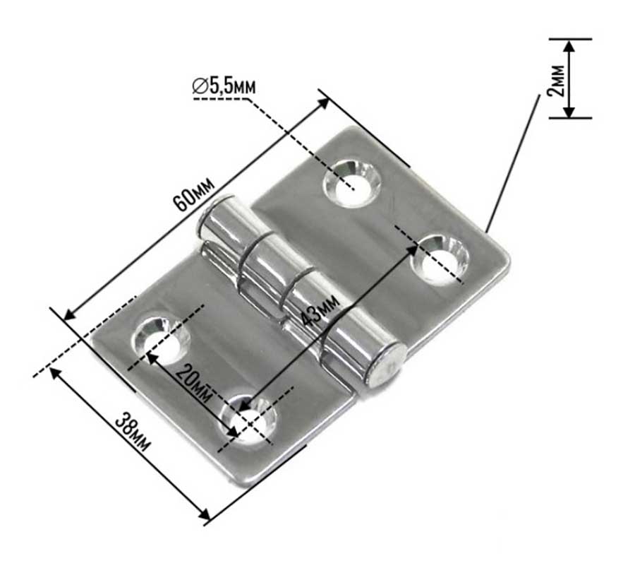 Петля 60х38х2 мм, нержавеющая