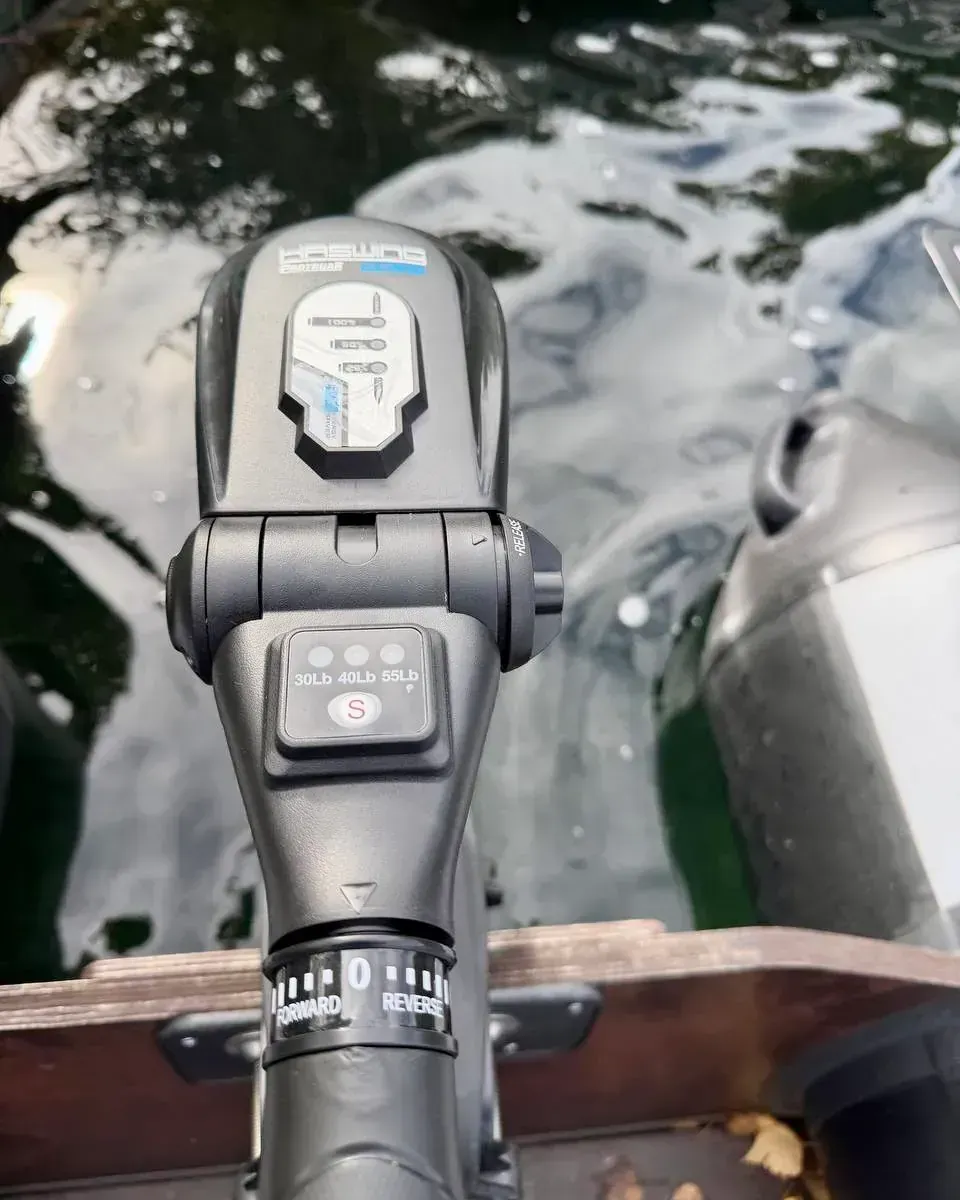 Лодочный электромотор Haswing Protruar Genius 55 lbs (бесщеточный)