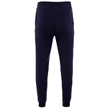 Брюки FHM Wave Jogger синие