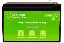 Аккумуляторная батарея Evolisun LiFePO4, 12,8 V, 12 Ah
