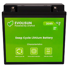 Аккумуляторная батарея Evolisun LiFePO4, 12,8 V, 30 Ah