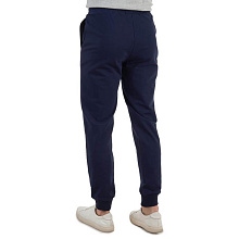 Брюки FHM Wave Jogger синие