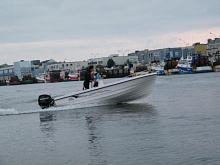 Лодочный мотор Меркури МЕ F 30 ELPT EFI