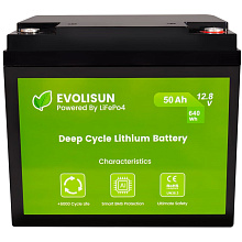 Аккумуляторная батарея Evolisun LiFePO4, 12,8 V, 50 Ah