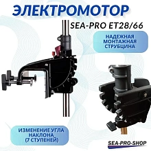Лодочный электромотор Sea-Pro ET28/66