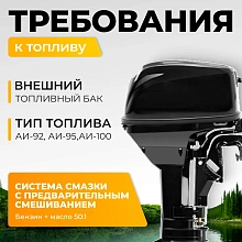 Лодочный мотор BarrakuDA HD9.8FHS