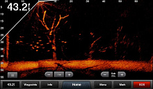 Система для эхолотов Panoptix LiveScope System LVS32