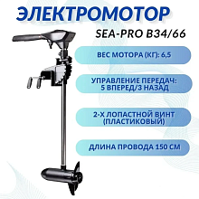 Лодочный электромотор Sea-Pro B34/66