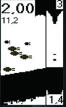 Блок-приемник эхолота Практик 7 BWF