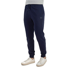 Брюки FHM Wave Jogger синие