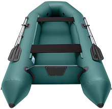 Надувная лодка ПВХ Роджер Стандарт 3000 с привальным брусом, зеленый
