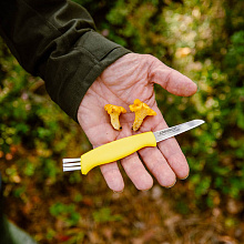 Нож грибной Marttiini Mushroom knife (65/185)