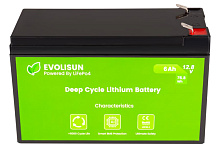 Аккумуляторная батарея Evolisun LiFePO4, 12,8 V, 6 Ah