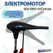 Лодочный электромотор Sea-Pro VST34/66