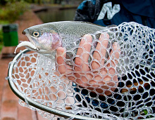 Подсачек разборный Lucky John Area Trout Game, 1.15 м