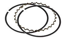 Кольца поршневые маслосъемные Tohatsu 4-6 (3H6-00013-0), оригинал