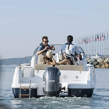 Лодочный мотор Ямаха F 150 DETL