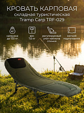 Кровать карповая складная Tramp Carp, 197х71 см